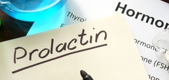 בדיקת פרולקטין (Prolactin) - תמונה